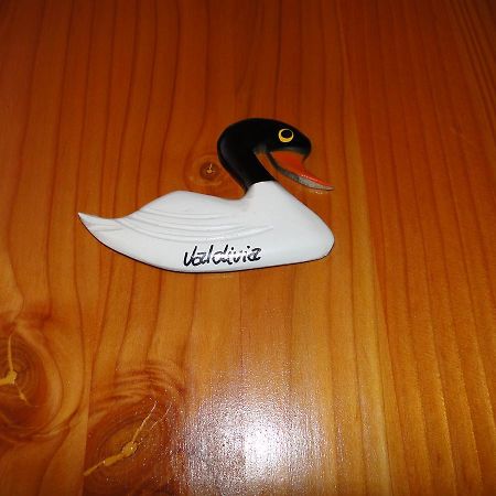 شقة فالديفيا  في Cabanas Cisne Cuello Negro المظهر الخارجي الصورة